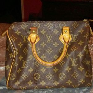 Louis vuitton purse